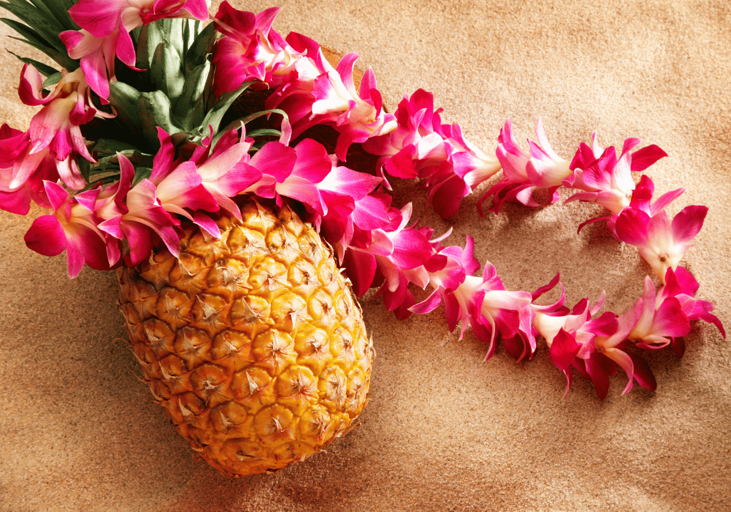 Pineapple wearing a bright pink flower lei on a sandy surface, tropical and festive.